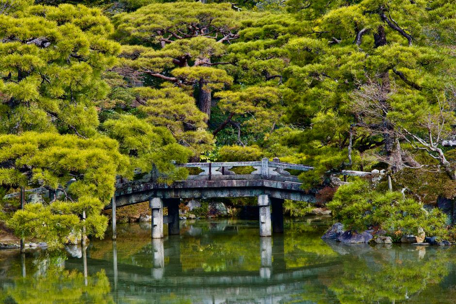 Bamboe fontein naast gestileerde Japanse tuinplanten.