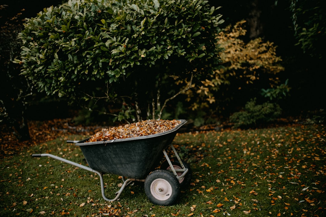 Man verwijdert bladeren voor herfstschoonmaak tuin.